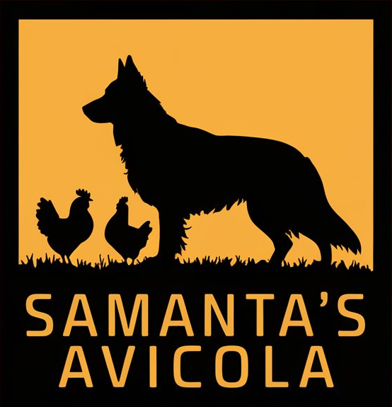 Avícola Samanta